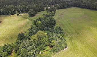 3350 SE Mt Pleasant Ln, Bogue Chitto, MS 39629