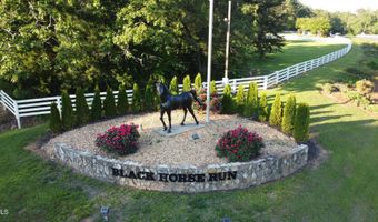 309 Appaloosa Trl, Bahama, NC 27503
