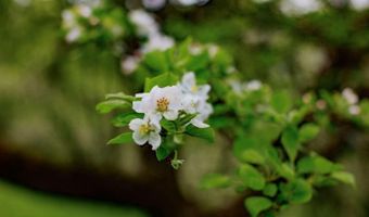 1312 Macintosh Hill Rd, Bethel, VT 05060