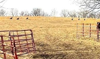 178 Acres Bug Scuffle Ln, Anderson, MO 64831