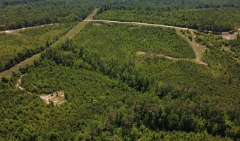 Tucker Road lot 9, Bath Springs, TN 38311