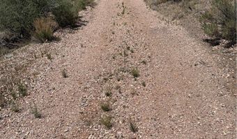 Carp Road, Caliente, NV 89008