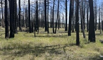 Off-Hicks Road, Bly, OR 97622