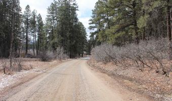 31861 E Highway 160, Bayfield, CO 81122