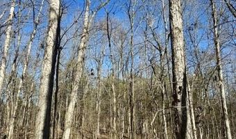 75 Ac CR 7031, Booneville, MS 38829