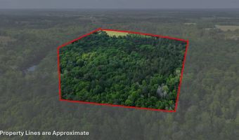 23826 Opine Rd, Andalusia, AL 36421