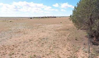541 S Coyote Rd, Apple Valley, UT 84737
