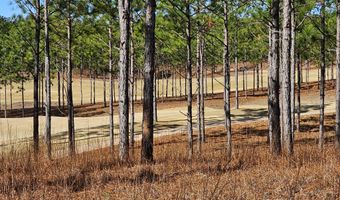 104 Dedies Way, Alexander City, AL 35010