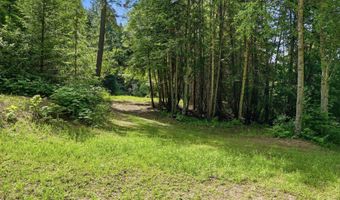 1710 Tower Mountain Rd, Blanchard, ID 83804
