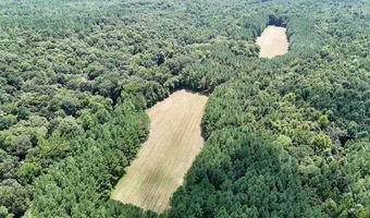 Pleasant Hill Road, Ashland, MS 38603