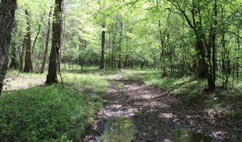Ruffner Road 00, Barnesville, GA 30204