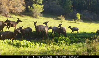 15098 CR 240, Bayfield, CO 81122