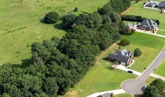 Lot 12 Mitchem Lane, Albertville, AL 35951