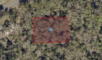 RIVER ROAD, Astor, FL 32102