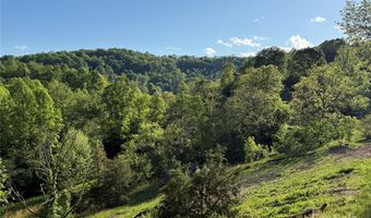 15 Woodchuck Cv, Alexander, NC 28701