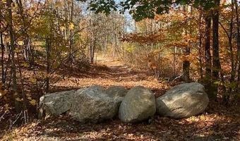 Lot # 02 North Road, Parsonsfield, ME 04047