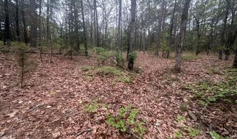 UNIT # 263B KIAMICHI WILDERNESS RD Unit # 63 63, Antlers, OK 74523