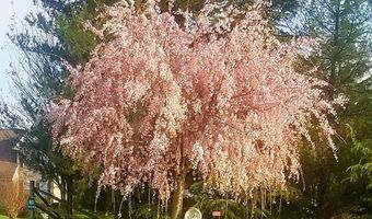 1 BOHEMIA Rd, Bear, DE 19701