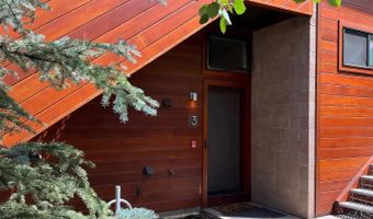 311 S Aspen St 3, Aspen, CO 81611