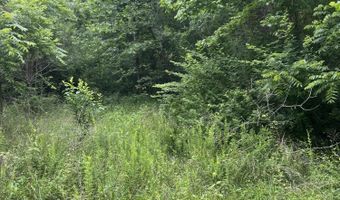 6387 W County Road 76-436, Ava, MO 65608