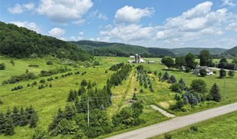 3723 W Five Mile Rd, Allegany, NY 14706
