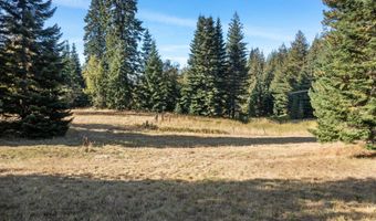 2376 Little Blacktail Rd, Careywood, ID 83809