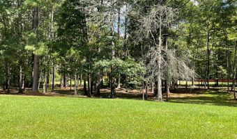 369 River Road Dr SE, Bogue Chitto, MS 39629