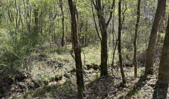 SW Auburn Drive, Bogue Chitto, MS 39629