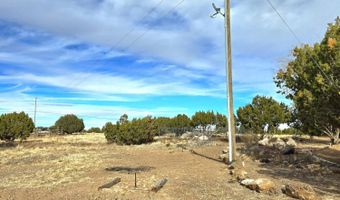 58 CR 5128/Antelope Ave, Concho, AZ 85924