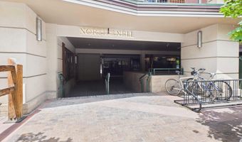 555 E Durant Ave 4-E, Aspen, CO 81611