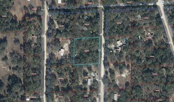 11250 NE 101ST Ct, Archer, FL 32618