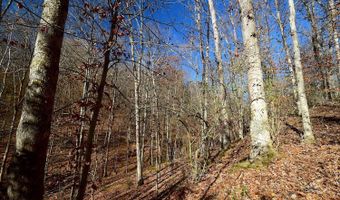 0 State Route 550, Amesville, OH 45711