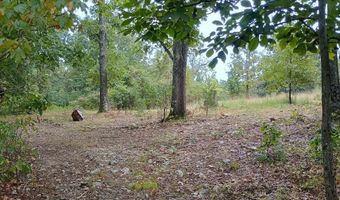 46 Private Road 160-190, Alton, MO 65606