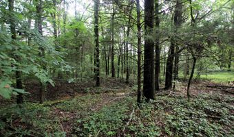 000 AVE 5 SW St, Atkins, AR 72823