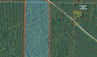 14835 Sulphur Springs Rd, Bastrop, LA 71220