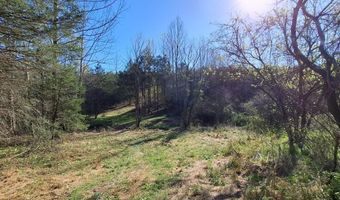Old Courthouse Road, Appomattox, VA 24522