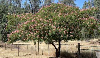 17972 Wild Weed Way, Anderson, CA 96007