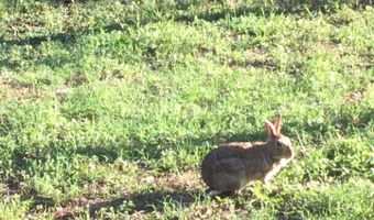 831 County Road 2200, Aquilla, TX 76622