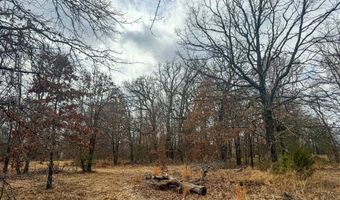 9696 Fm-515, Alba, TX 75410