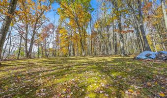 419 Algerine St, Afton, NY 13730