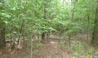 Winfield Road, Appling, GA 30802