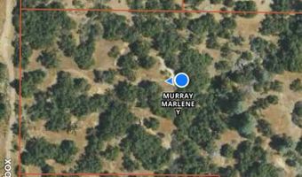 41902 Woodward Way, Ahwahnee, CA 93601