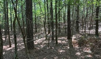 0 Highway 140 Tract D NW, Adairsville, GA 30103