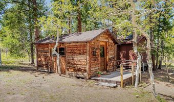 104 County Road 90, Allenspark, CO 80510