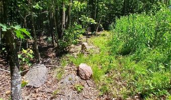 0000000 Easement, Annapolis, MO 63620