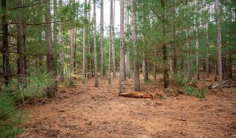 Lot 87 20th Avenue, Arkdale, WI 54613