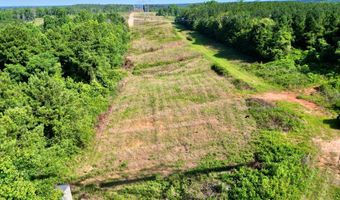 AL HWY 223, Banks, AL 36005