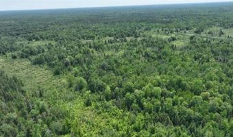 6002 Wildwood, Alger, MI 48610