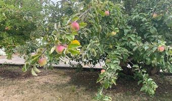 98620 CAMELLIA Dr, Brookings, OR 97415