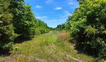 County Road 38, Autaugaville, AL 36003